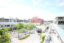 アウトモールとして展開する「星が丘テラス」